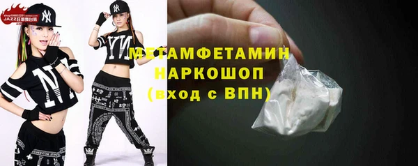 шишки Елизово