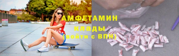 шишки Елизово