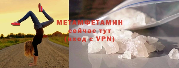 шишки Елизово