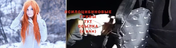 трава Елабуга