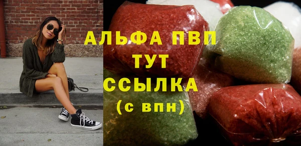 шишки Елизово