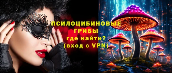 не бодяженный Ельня