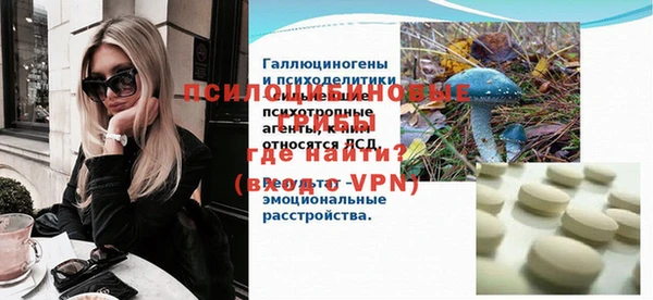 шишки Елизово