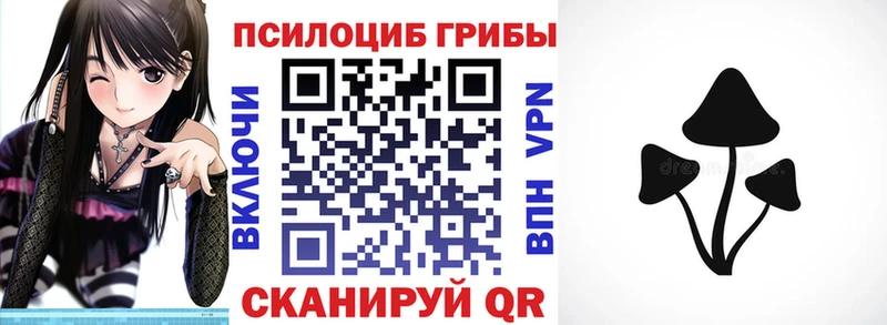 наркошоп  Подпорожье  ОМГ ОМГ как зайти  Галлюциногенные грибы Magic Shrooms 